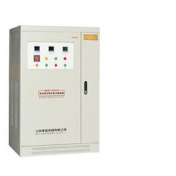 電壓互感器與穩(wěn)壓電源行業(yè)的領(lǐng)先企業(yè)概覽